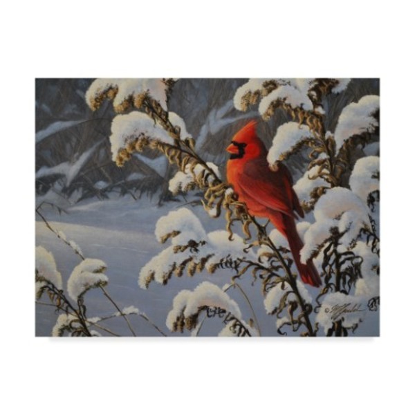 Trademark Fine Art Wilhelm Goebel 'Winter Red Cardinal' Canvas Art, 24x32 ALI33713-C2432GG